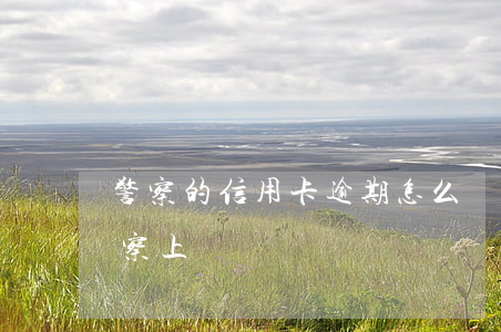 警察的信用卡逾期怎么辦（信用卡逾期3年警察上門）