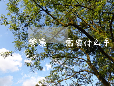 警察開槍需要什么手續(xù)