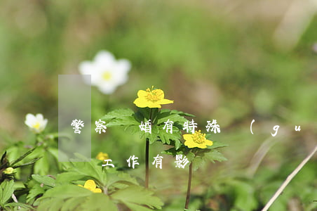 警察離婚有特殊規(guī)定嗎(警察離婚對工作有影響嗎)