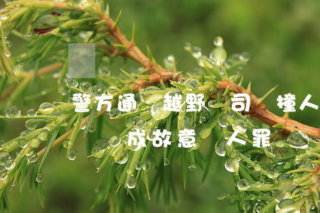 警方通報越野車司機撞人后砸死對方 哪些行為構成故意殺人罪?
