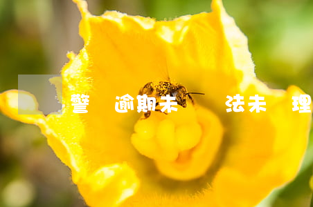 警車逾期未審違法未處理(警車未年審)