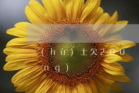護(hù)士欠200萬(wàn)網(wǎng)貸