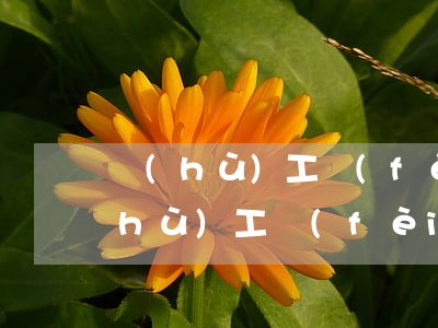 護(hù)工費(fèi)多少錢一天(護(hù)工費(fèi)多少錢一天)