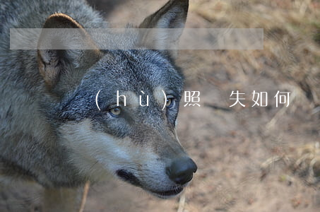 護(hù)照丟失如何補(bǔ)辦