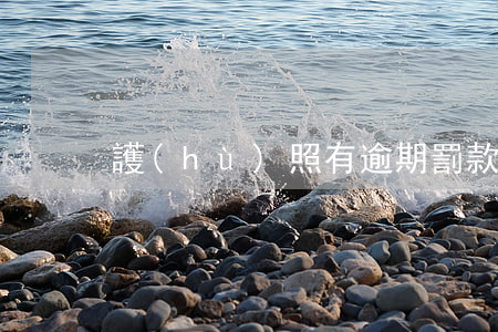 護(hù)照有逾期罰款可以辦理尊榮卡嗎