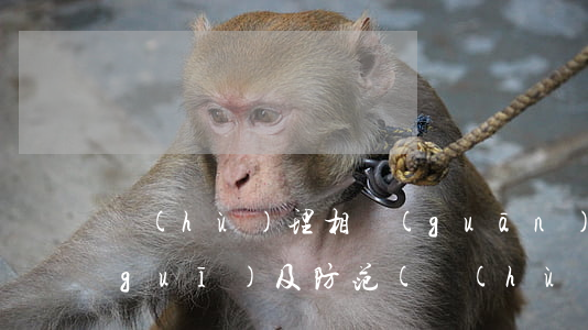 護(hù)理相關(guān)法律法規(guī)及防范(護(hù)理相關(guān)法律法規(guī))