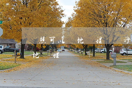 護照可以異地辦理嗎(長沙大學生護照可以異地辦理嗎)