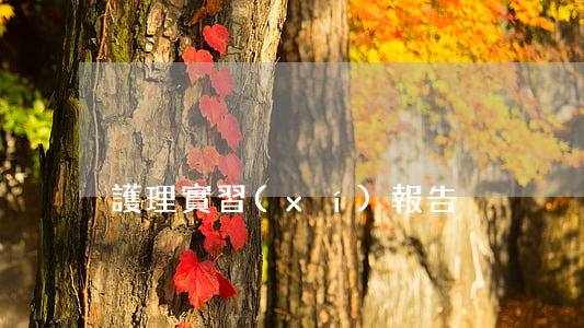 護理實習(xí)報告