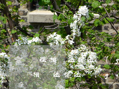 護理相關法律法規(guī)及防范(護理相關法律法規(guī))