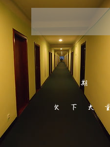 讀書期間欠了巨額網(wǎng)貸怎么辦(欠下大量網(wǎng)貸怎么辦?)