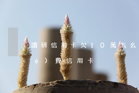 讀研信用卡欠10萬怎么辦 研究生學(xué)費信用卡