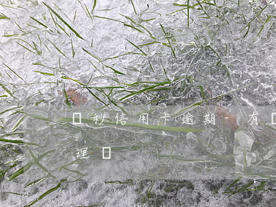 讀秒信用卡逾期-有誰知道讀秒逾期法院受理嗎