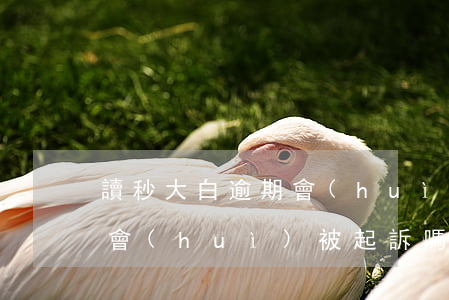 讀秒大白逾期會(huì)被起訴(讀秒逾期會(huì)被起訴嗎)