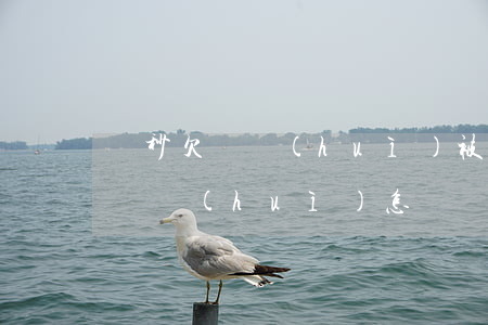 讀秒欠錢會(huì)被起訴么(讀秒欠款不還會(huì)怎樣)