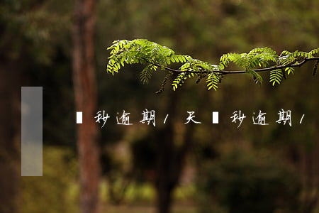 讀秒逾期1天(讀秒逾期1天)