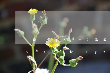 讀秒錢(qián)包逾期半年欠款5萬(wàn)(讀秒錢(qián)包逾期了會(huì)上門(mén)催收嗎)