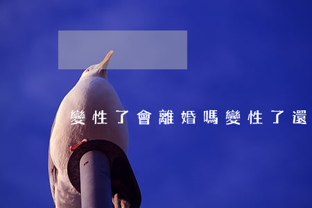 變性了會離婚嗎(變性了還能生孩子嗎)