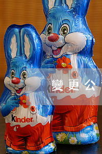 變更公司名稱(變更公司名稱網上申請流程)