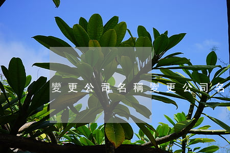 變更公司名稱(變更公司名稱需要多久)