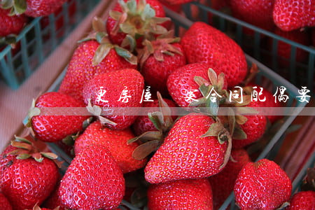 變更房屋備案合同配偶要同意嗎