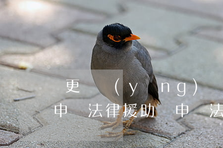變更撫養(yǎng)權(quán)可以申請法律援助嗎(申請法院變更撫養(yǎng)權(quán)需要什么理由)