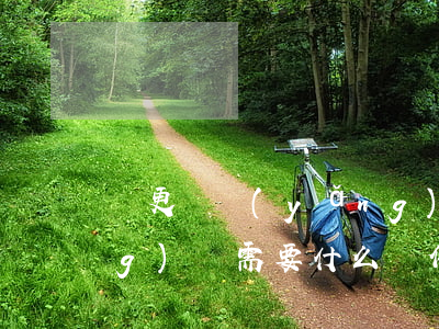 變更撫養(yǎng)權(變更撫養(yǎng)權需要什么條件才可以)