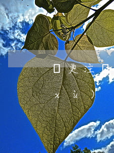 變更注冊地址(變更注冊地址需要哪些手續(xù))