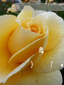 變更訴訟請(qǐng)求申請(qǐng)書(shū)(變更訴訟請(qǐng)求申請(qǐng)書(shū)要幾份)
