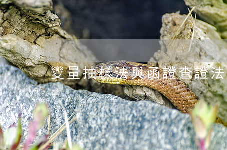 變量抽樣法與函證查證法報表有哪些差異