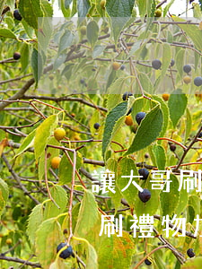 讓大哥刷禮物加微信起訴我怎么辦-讓大哥刷禮物加微信起訴我怎么辦呢