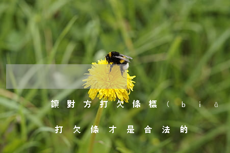 讓對方打欠條標(biāo)準怎么打(咋樣打欠條才是合法的)