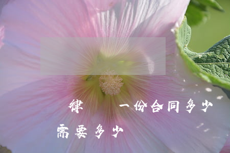 讓律師寫一份合同多少錢(請律師寫一個合同需要多少錢)