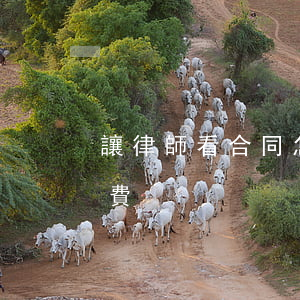 讓律師看合同怎么收費(找律師簽合同怎么收費)