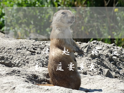 讓律師起訴離婚開庭要多久(離婚案件從起訴到開庭要多久)