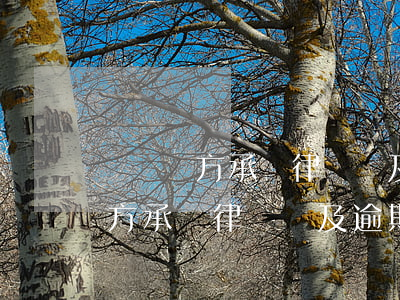 讓敗訴方承擔律師費及逾期違約金-讓敗訴方承擔律師費及逾期違約金合法嗎