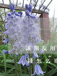 讓朋友用信用卡不還錢(幫朋友還信用卡不還錢怎么辦)
