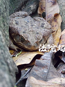 讓法院起訴欠錢不還(去法院起訴別人不還錢)