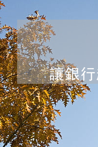 讓銀行起訴不還錢會怎樣