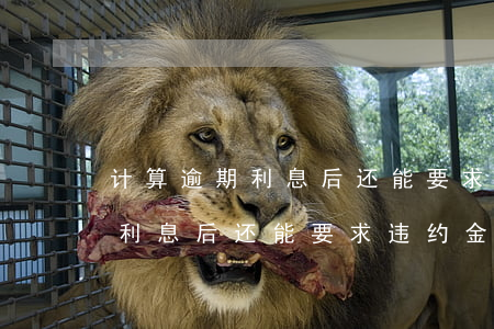 计算逾期利息后还能要求违约金-计算逾期利息后还能要求违约金吗