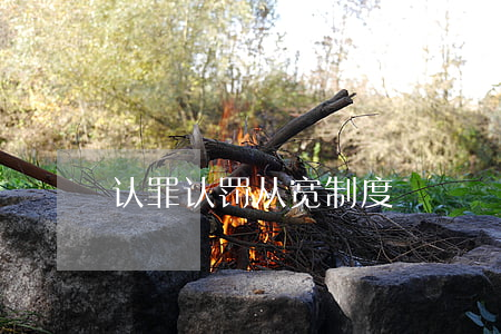 认罪认罚从宽制度