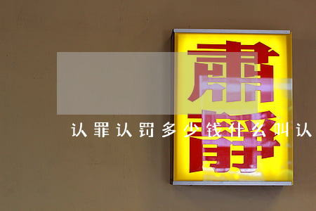 认罪认罚多少钱(什么叫认罪认罚)