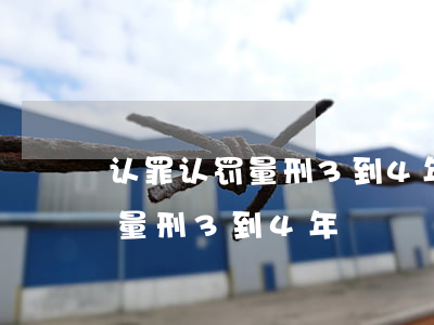 认罪认罚，量刑3到4年会怎么判(签认罪认罚量刑3到4年)