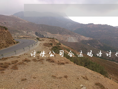 讨债公司合法吗(请讨债公司讨债合法吗)
