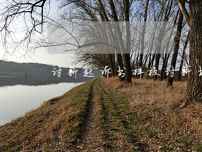 讨薪起诉书样板(讨薪书怎么写)