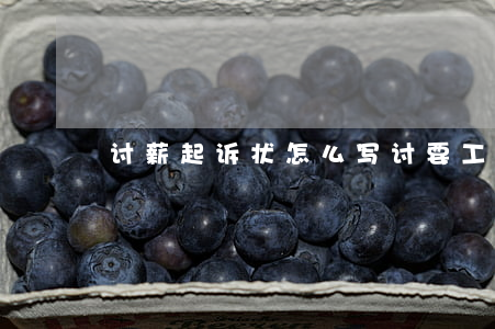 讨薪起诉状怎么写(讨要工资的起诉书怎么写)