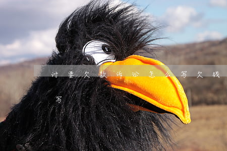 讨要欠款诉讼怎么写(欠钱起诉诉讼请求怎么写)