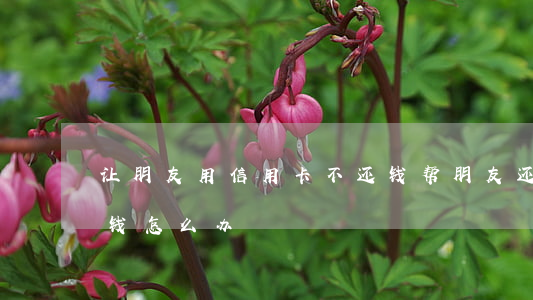 让朋友用信用卡不还钱(帮朋友还信用卡不还钱怎么办)