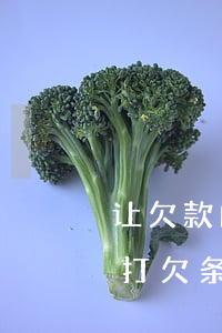 让欠款的人怎么打欠条才有效(欠别人钱怎么打欠条)