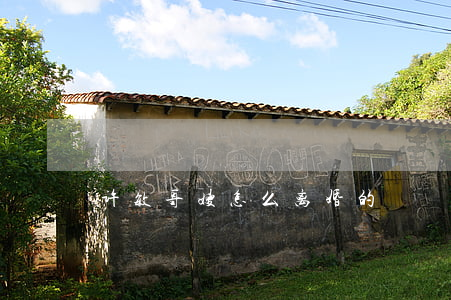 许敏哥嫂怎么离婚的