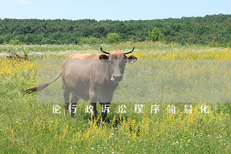 论行政诉讼程序简易化